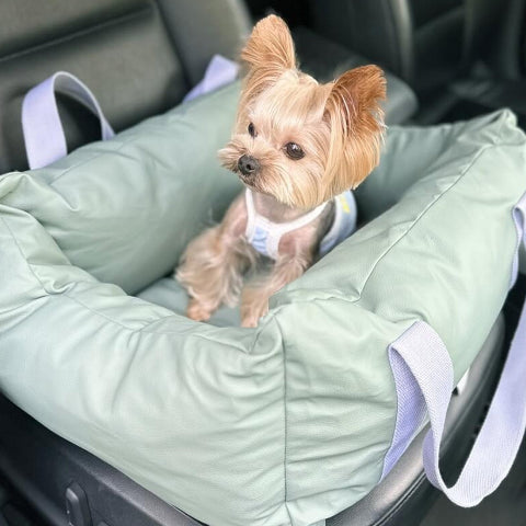 Cuscino Per Auto Per Cani – Protezione E Morbidezza In Viaggio