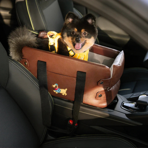 Bilstol for liten hund — Sikkerhet og komfort i bilen