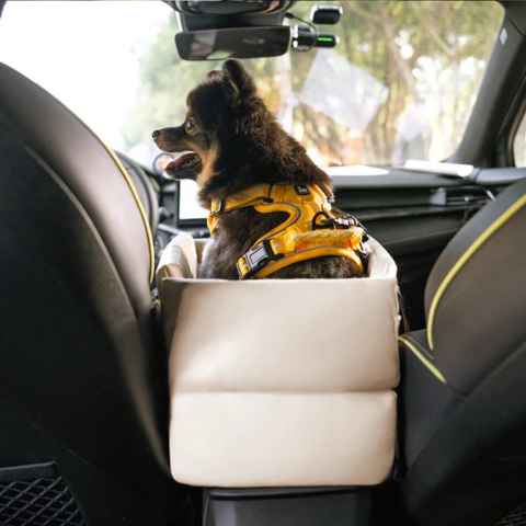 Bilstol for liten hund — Sikkerhet og komfort i bilen