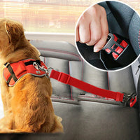 Cinto de Segurança para Cão – Viagens em Total Serenidade 