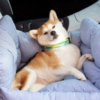 Cadeira de Auto para Cão – Conforto Óptimo em Deslocamento 