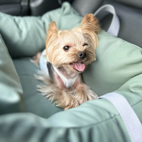 Bilpute for hund – Beskyttelse og mykhet på veien 
