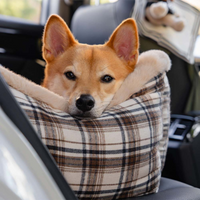 Banqueta de Viagem para Cão – Confortável e Fácil de Instalar 