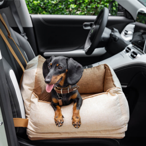 Seggiolino Auto Per Cani – Comfort E Sicurezza In Auto 