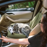 Cadeira de Auto Traseira para Cão – Instalação Fácil e Estabilidade 