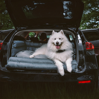 Almofada de Carro para Cão – Conforto e Apoio na Estrada 