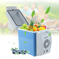 Portable Mini Refrigerator — Freshness & Convenience Everywhere 