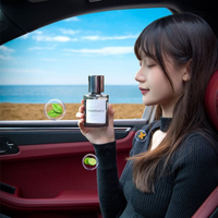 Difusor Aromático Para Carro – Fragrância e Estilo 