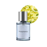 Difusor Aromático Para Carro – Fragrância e Estilo 