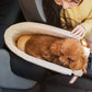 Transportín para Perros – Confort y Estabilidad en el Coche 